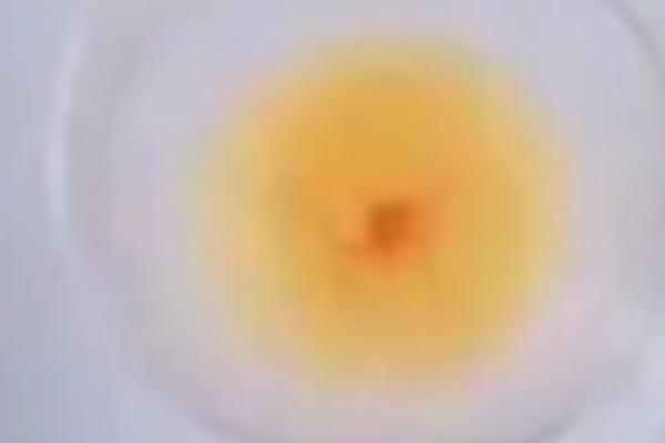 小鸡孵化1-21天的过程，受精卵会逐渐发育成胚胎、最后破壳而出