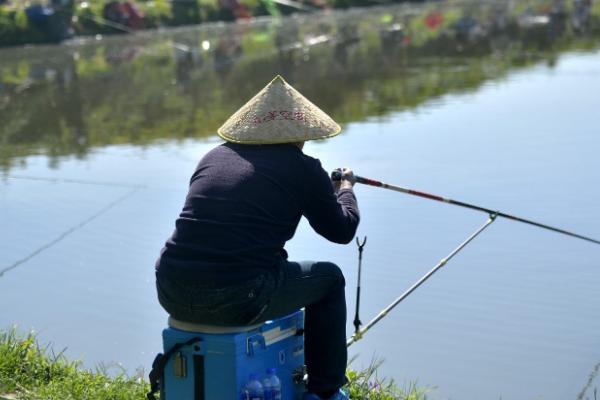 如何野钓鲫鱼，洄湾处更适合作钓