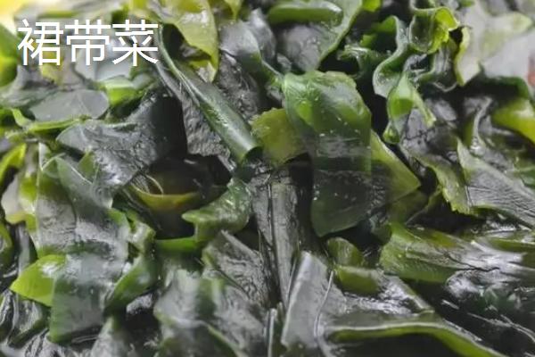 海藻的种类，均可以食用