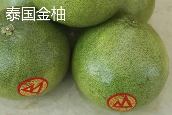 泰国柚子品种介绍，红柚比白柚价格高