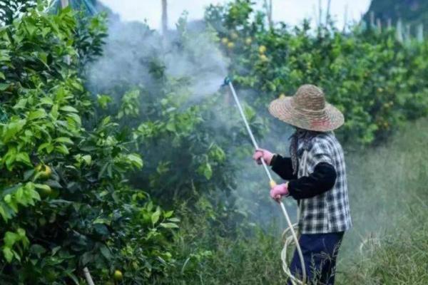 生物农药使用注意事项，要掌握正确使用的技术