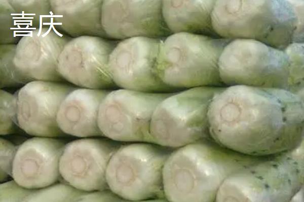 常见白菜品种有哪些，天津绿、胶州大白菜、绿秀等都是常见品种