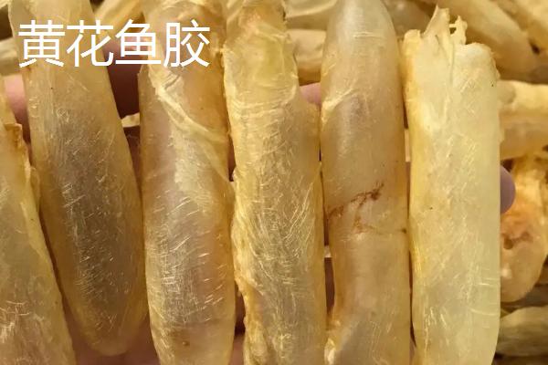 什么品种的花胶比较好，常见的有金钱鳌鱼胶、大须金钱鳘鱼胶等