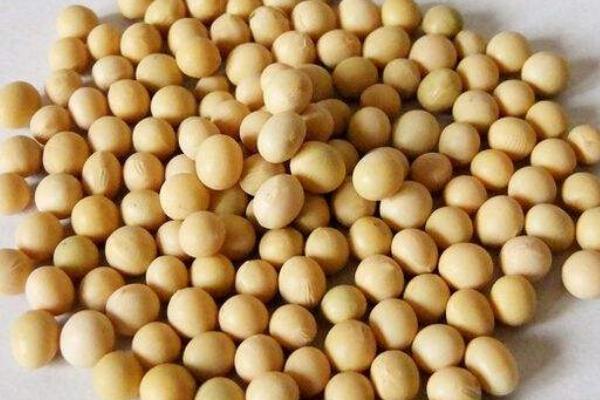 徐豆27大豆种子特征特性，夏大豆品种