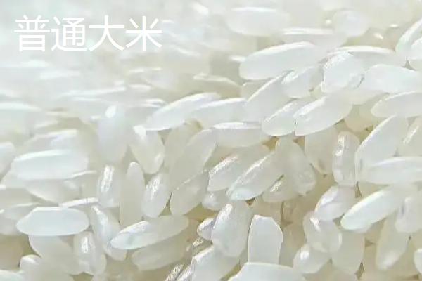 小米出虫了还能吃吗，把虫子驱赶后便可食用