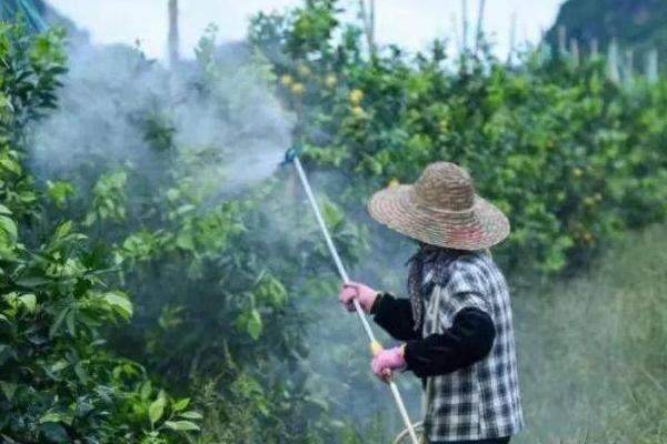 除草剂不管用的原因，气温、天气、土壤等对其都会有影响