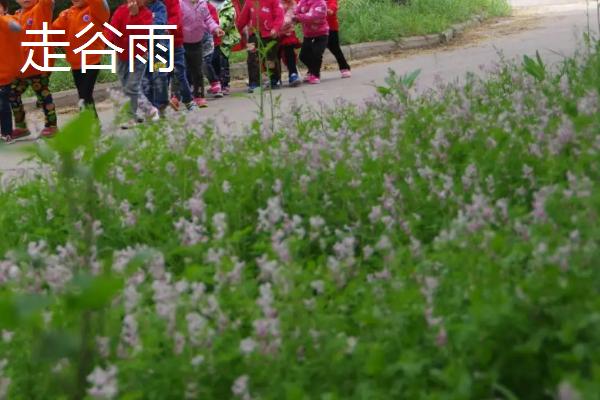 谷雨的天气，是春季的最后一个节气