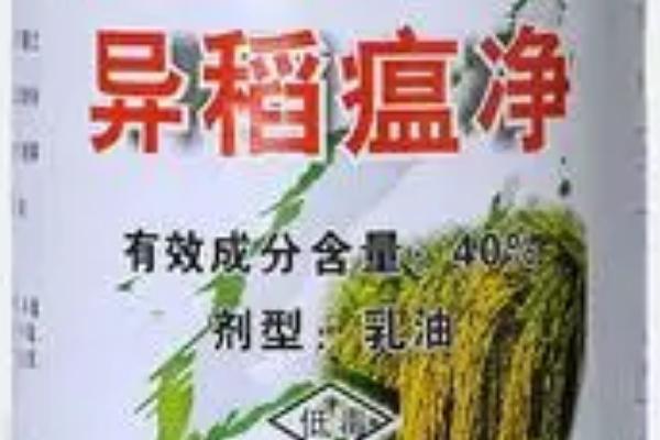 哪些农药遇碱容易分解，包括敌敌畏、敌百虫等有机磷制剂