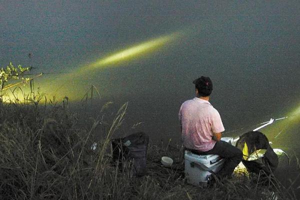 夜钓鲫鱼的技巧，只需掌握这7点