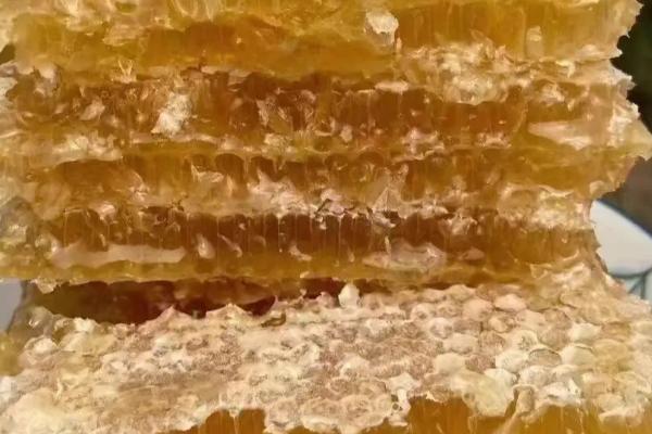 蜂巢蜜和蜂蜜的区别，形态和价格均不同