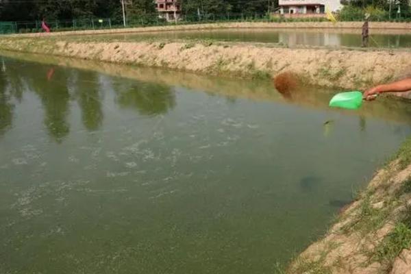 养殖泥鳅所需环境，需从水库、江河、湖泊中获取干净的水源