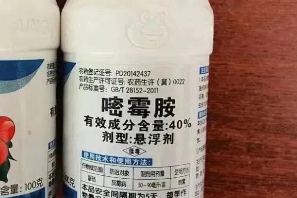 常见杀菌剂的品种及防治对象，不同品种的防治对象各不相同