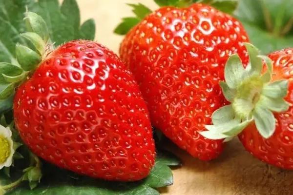 草莓属于哪个季节的水果，常在春末夏初采摘上市