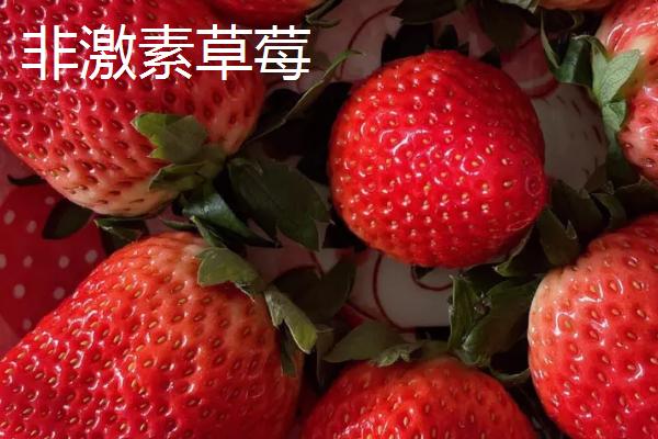 草莓属于哪个季节的水果，常在春末夏初采摘上市