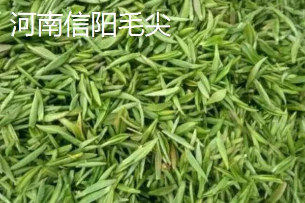 十种名贵的茶叶，安溪铁观音属于茶中珍品