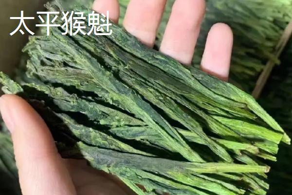 十种名贵的茶叶，安溪铁观音属于茶中珍品