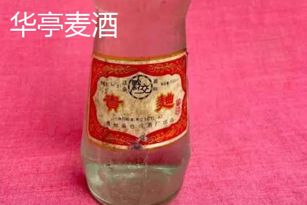 甘肃省酒泉市的特产水果，包括瓜州蜜瓜、瓜州西瓜等种类