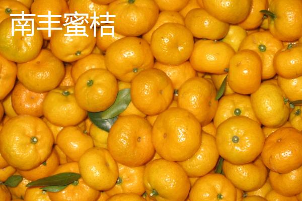 橘子的产地分布，主产于广东、湖南、四川、广西等省份
