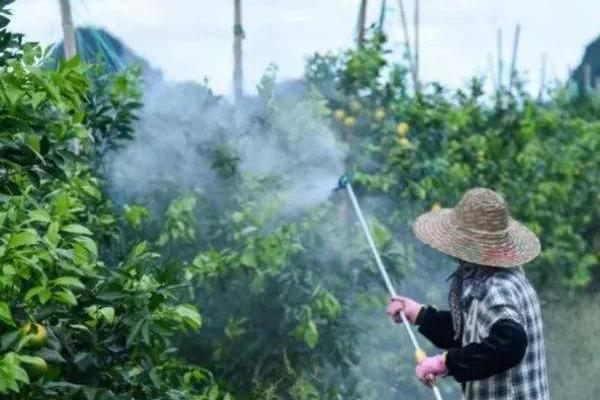 枯草芽孢杆菌的防治对象，可防治青枯病、溃疡病、性软腐等