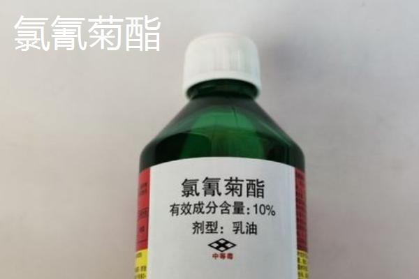 高效氯氰菊酯的注意事项，使用时一定要注意作物安全间隔期