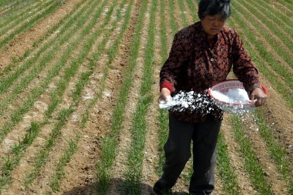 复合肥的使用方法，复合肥宜做基肥