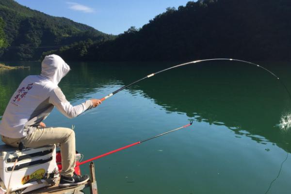 11月份是否容易垂钓鲢鳙，此时鲢鳙的活性不高、因此不易垂钓