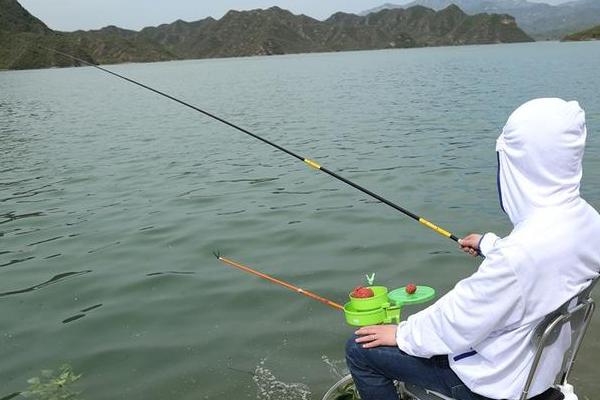 11月份是否容易垂钓鲢鳙，此时鲢鳙的活性不高、因此不易垂钓