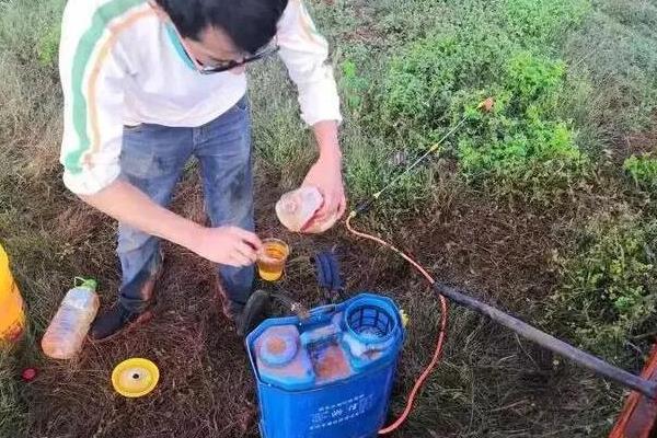 打了除草剂的地块多久能种白菜，大概需要间隔5-7天左右