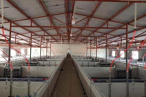 养猪场如何才能预防火灾，一定要使用防火材料建设