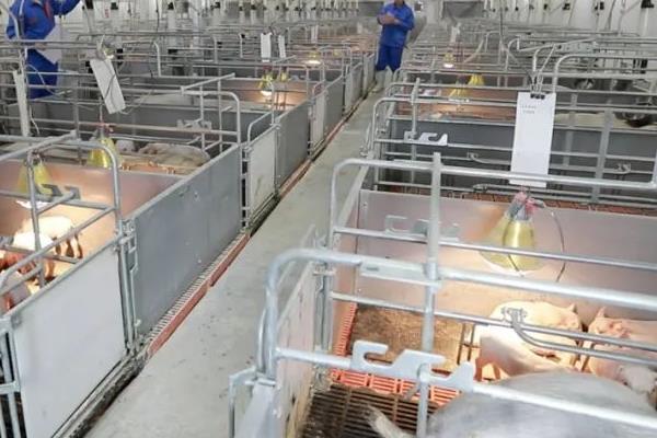 养猪场如何才能预防火灾，一定要使用防火材料建设