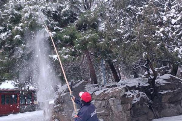 大雪过后园林人的注意事项，需及时清理根部多余积雪