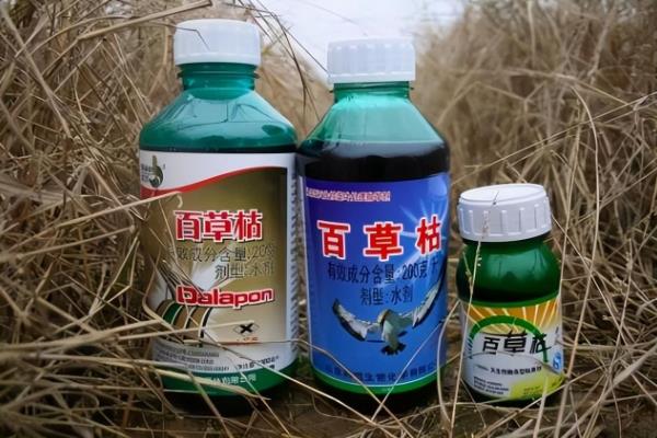 除草剂多少天后见效，不同品种的除草剂见效时间不同