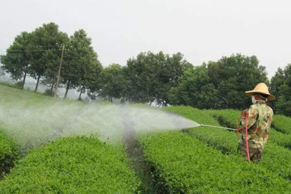 莠去津有哪些适用范围，可用在玉米、高粱、甘蔗等作物中