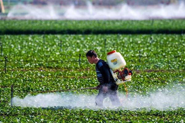 蔬菜有哪些叶面肥，尿素、硫酸铵、磷酸二氢钾等肥料均可使用