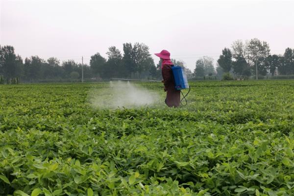 仲丁灵除草剂的使用范围，可用于大豆、棉花、水稻等作物