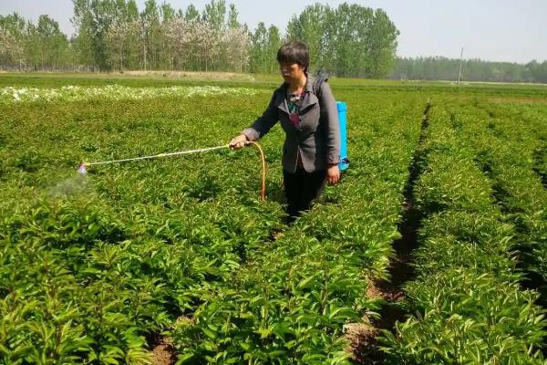 农药使用注意事项，首先要认清其适用范围