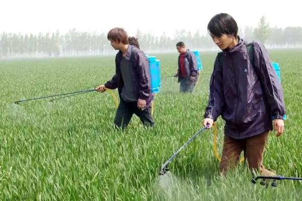 农药使用注意事项，首先要认清其适用范围