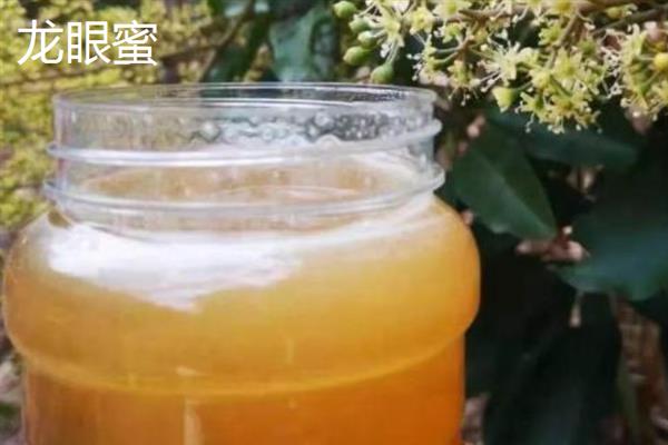 南方有什么常见的蜂蜜，龙眼蜜、荔枝蜜、枇杷蜜等品种较常见