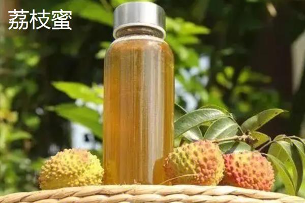 南方有什么常见的蜂蜜，龙眼蜜、荔枝蜜、枇杷蜜等品种较常见