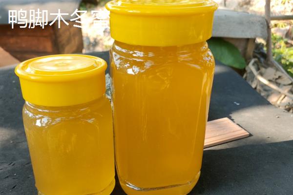 南方有什么常见的蜂蜜，龙眼蜜、荔枝蜜、枇杷蜜等品种较常见