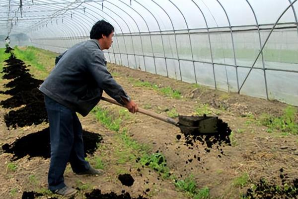 菜地土壤板结应该怎么改良，可采取增施有机肥、松土、掺沙这3种方式