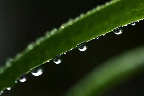 白露过后雨水还多不多，雨水多不多主要看地区