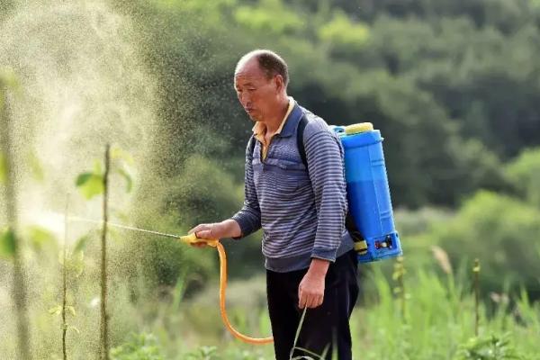 误食精喹禾灵怎么处理，要尽快用清水漱口