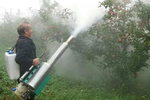 四霉素的特点，有极强的杀灭作用