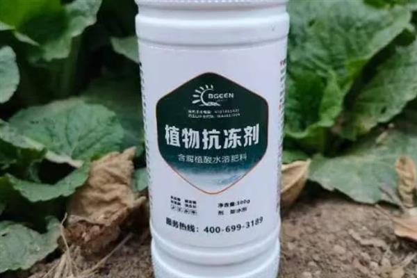 使用植物防冻剂的时间，晚秋、初冬、春季倒春寒这几个时期最合适