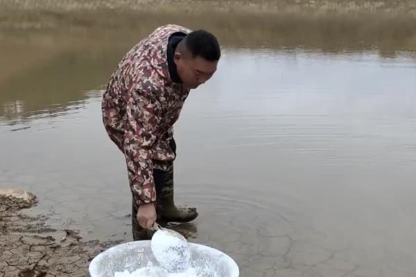 春季养鱼怎么管理鱼塘，放苗前要晒塘消毒