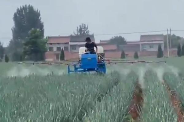 大葱出现病虫害打什么药，针对不同的病虫选择不同的药物