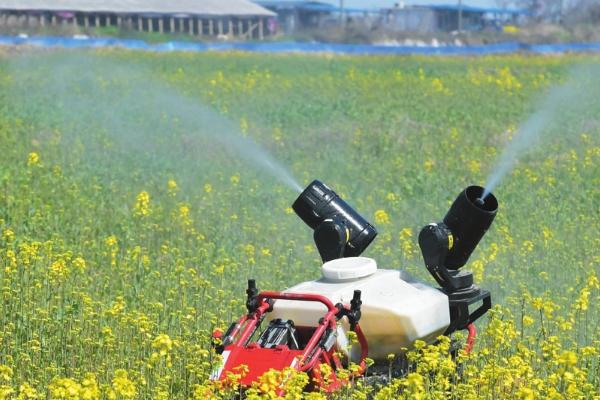 恶唑氰氟能除什么草，主要防除水稻田中的千金子、稗草、马唐、牛筋草等