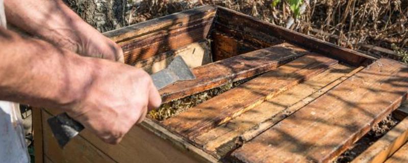 什么蜂箱适合养中蜂，可以选择以下4种