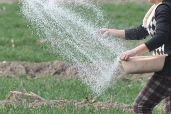 有机复合肥的作用，可以改良土壤物理、化学和生物特性等